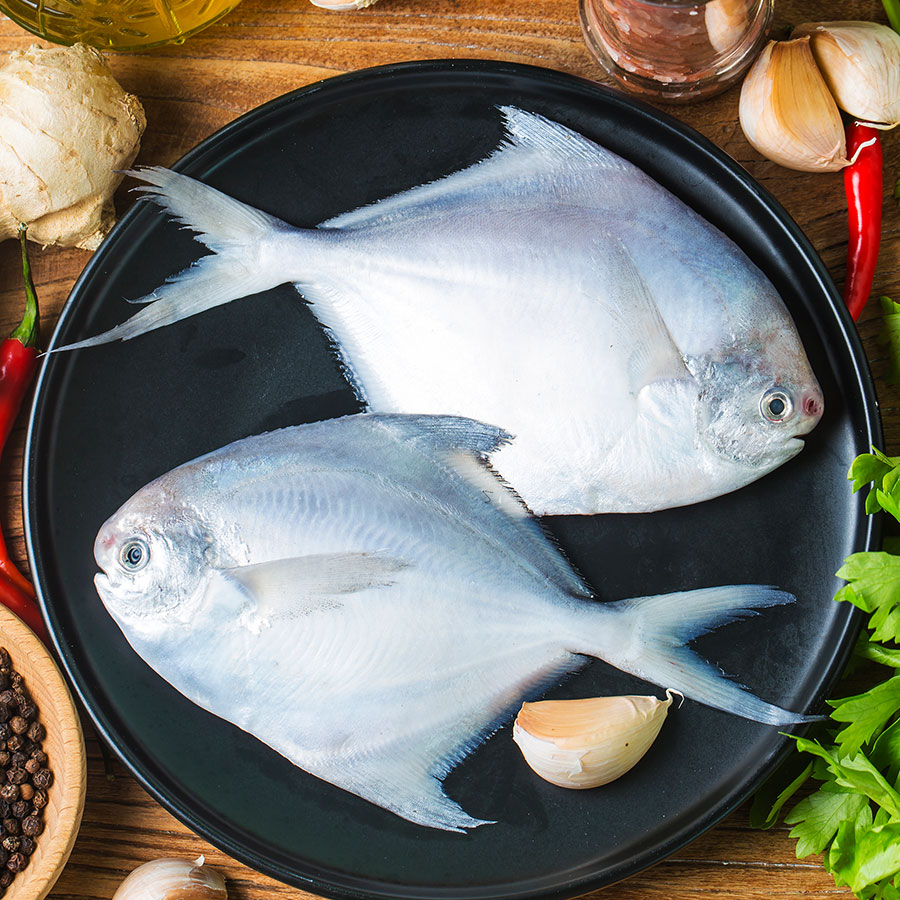 White Pomfret Fish-Whole