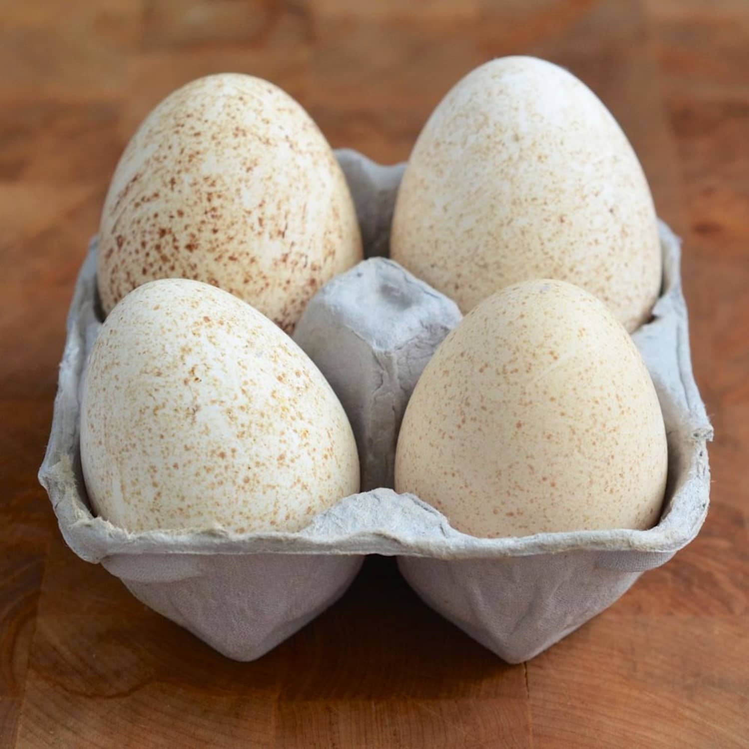 Turkey Eggs (4 pic)